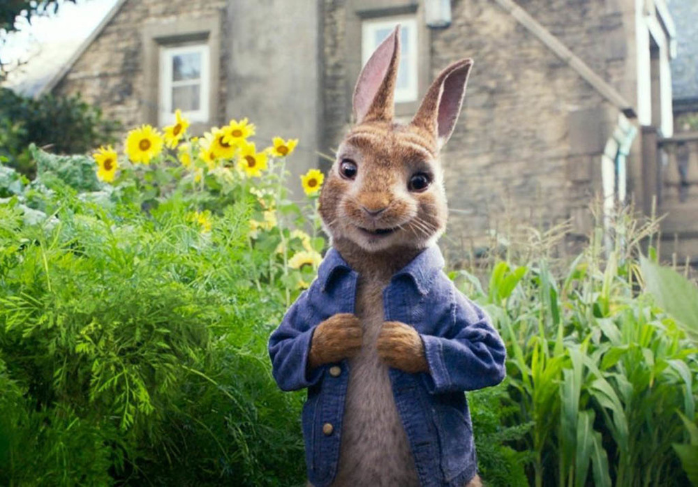 جیمز کوردن در فیلم «پیتر خرگوشه 2: فراری» (Peter Rabbit 2: The Runaway)